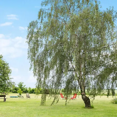 Pet Friendly In Am Salzhaff * Pepelow